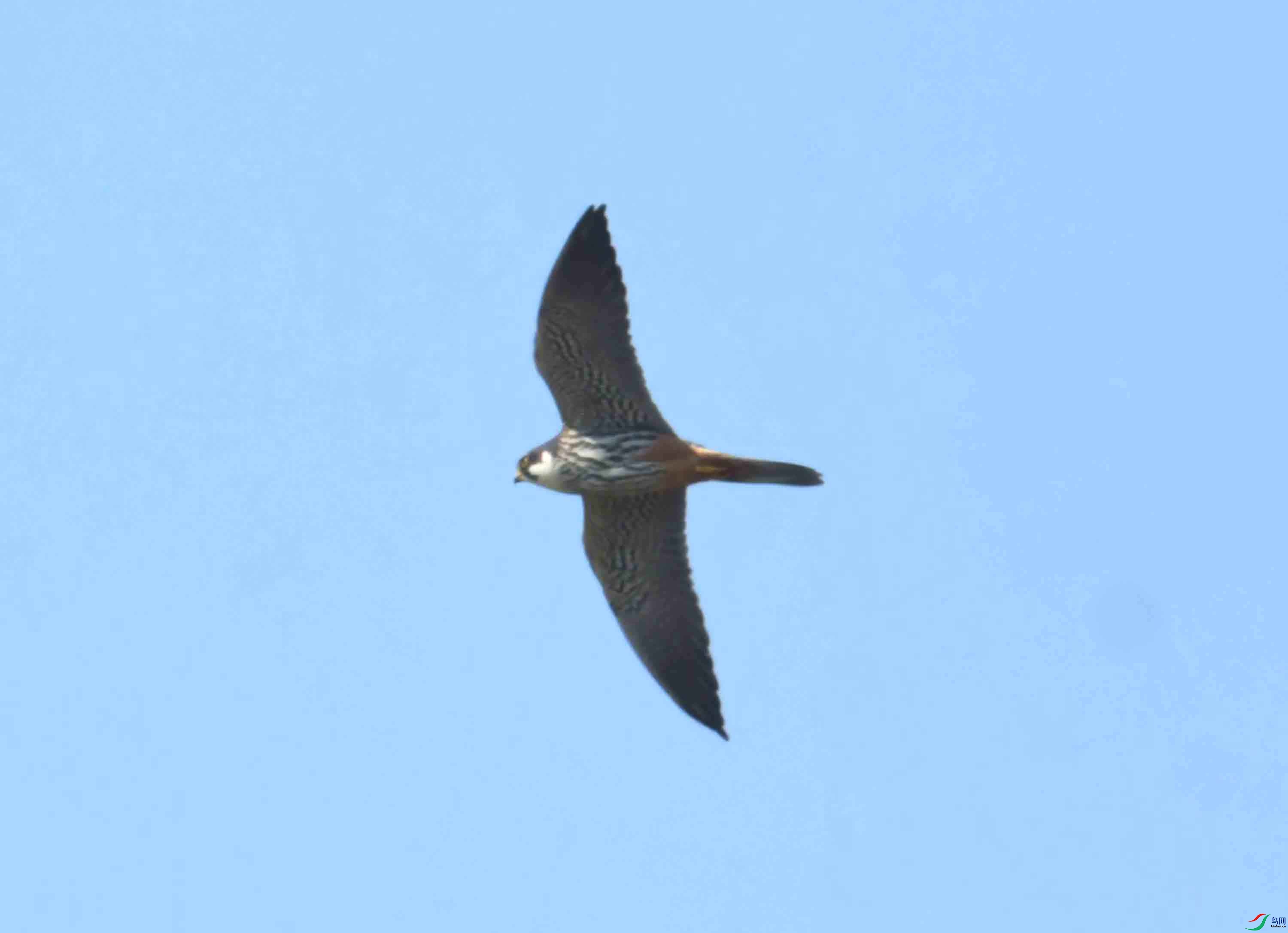 DSC_2543.JPG