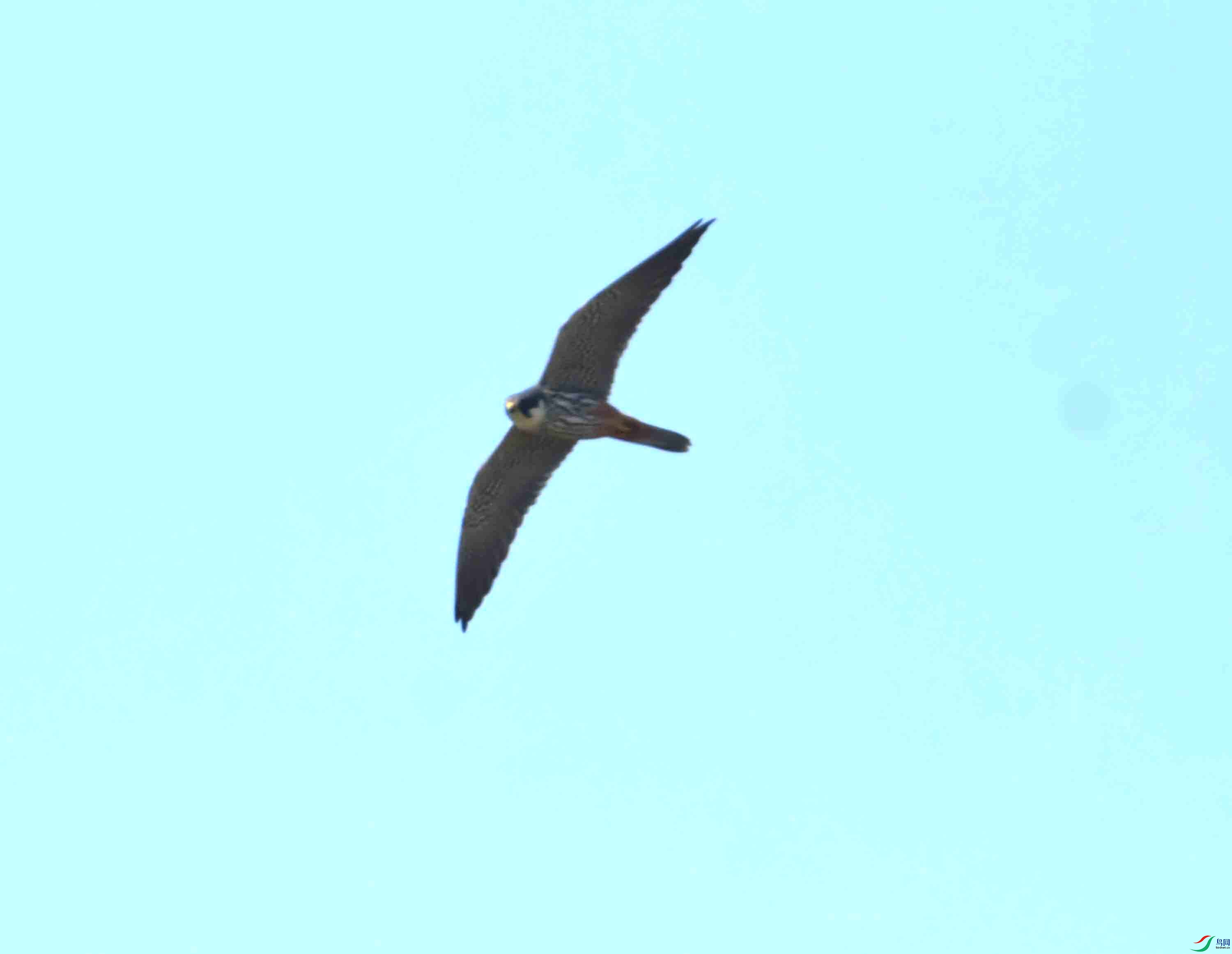 DSC_2540.JPG