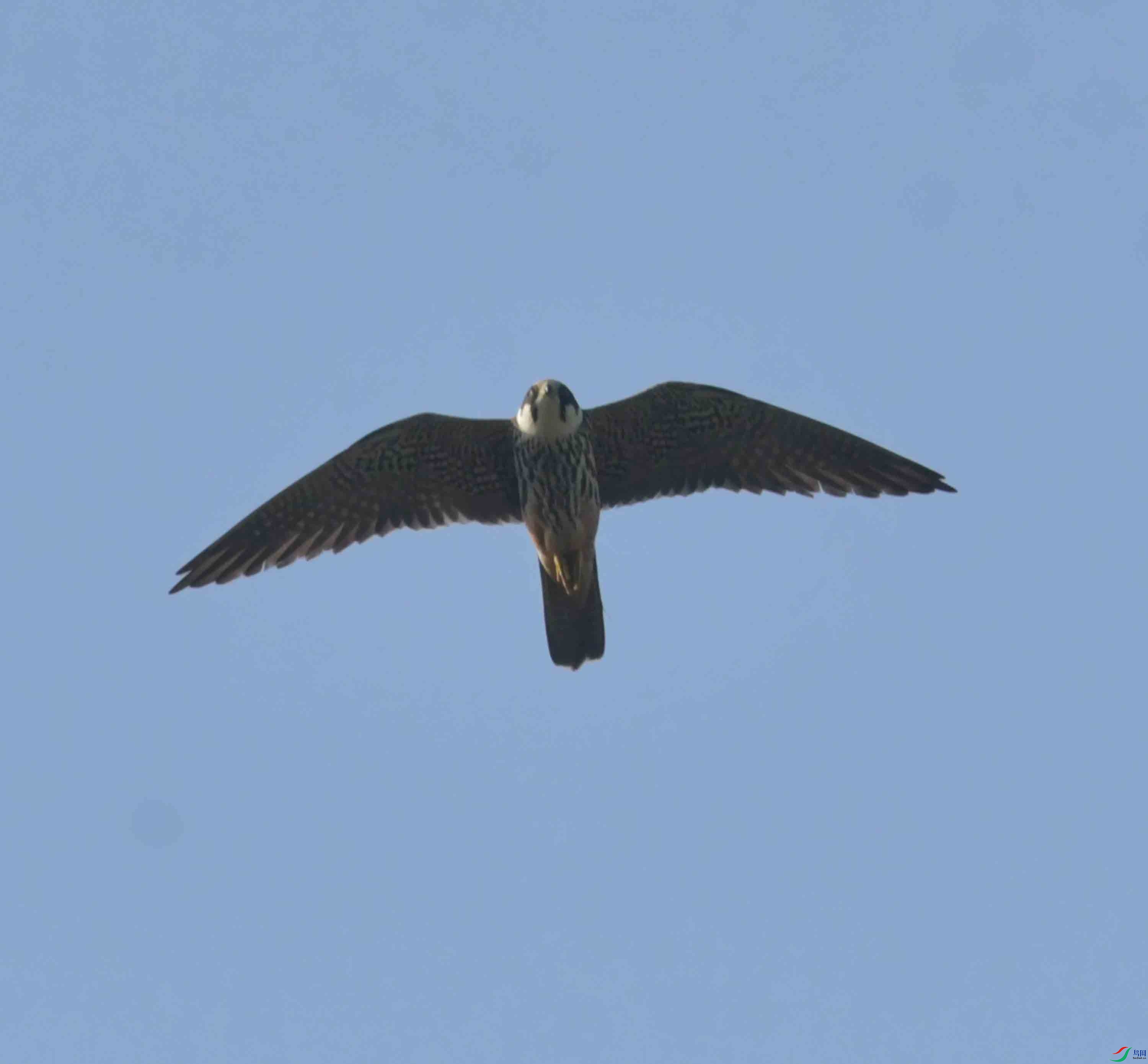DSC_7884.JPG