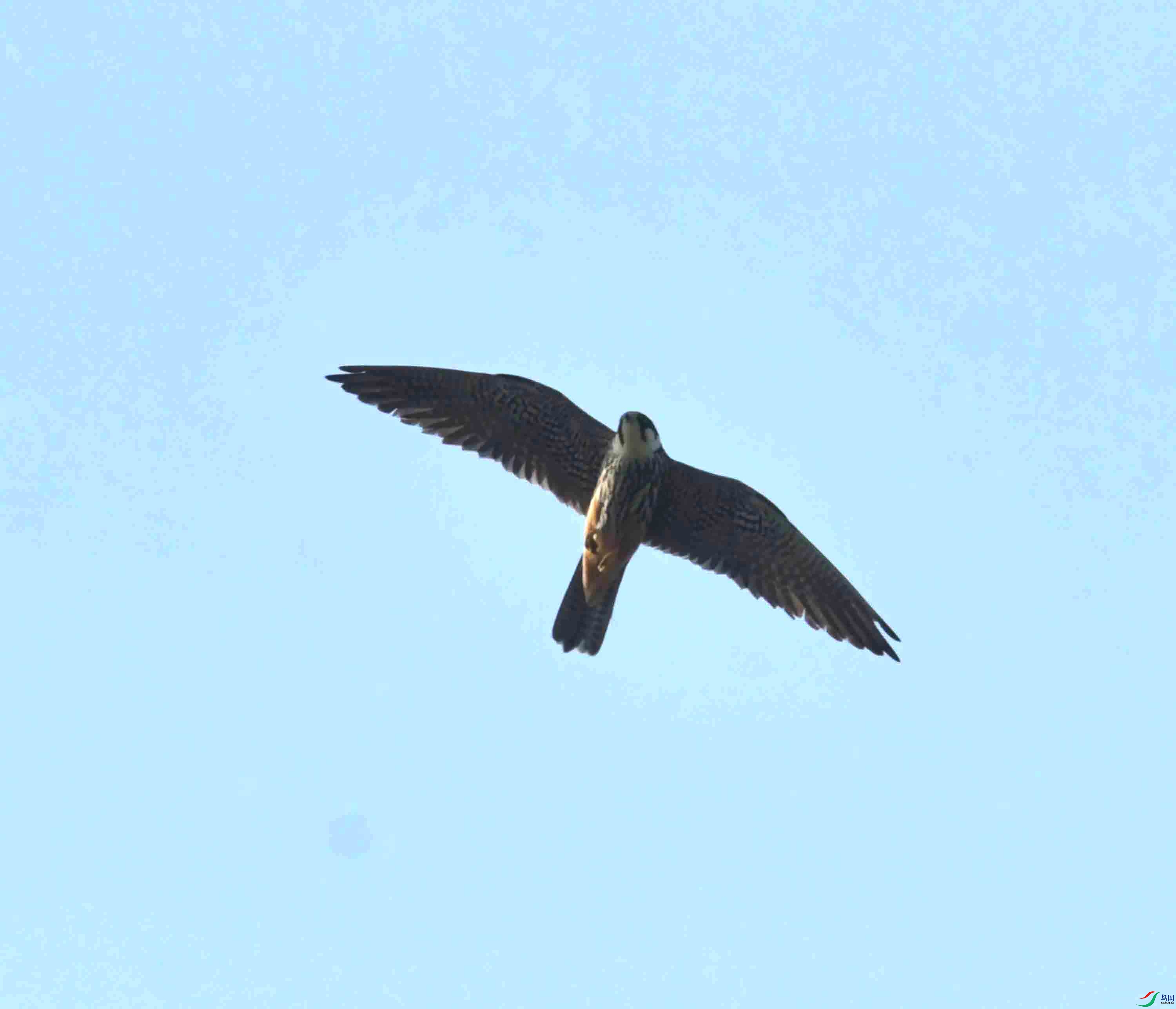 DSC_7888.JPG
