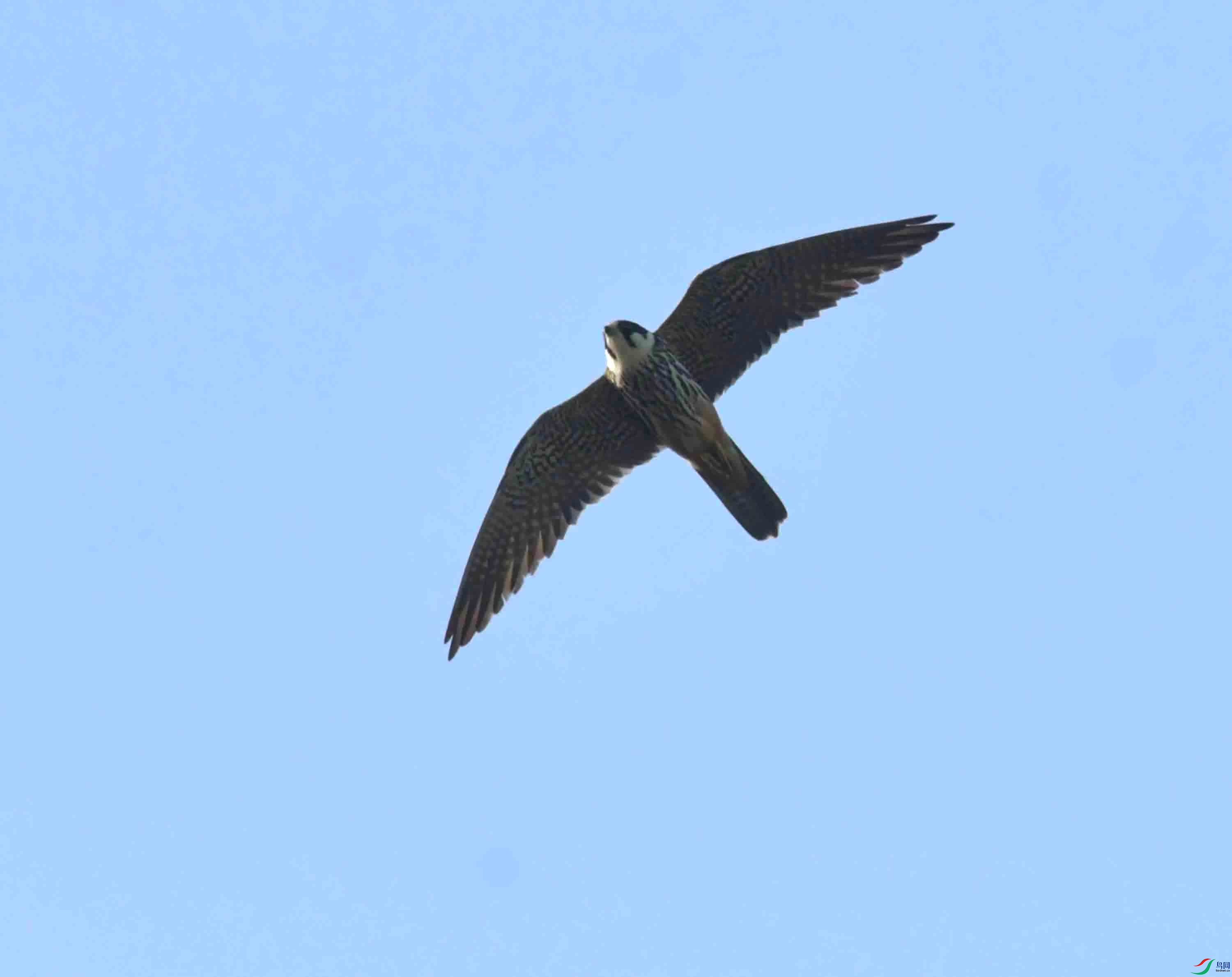 DSC_7886.JPG