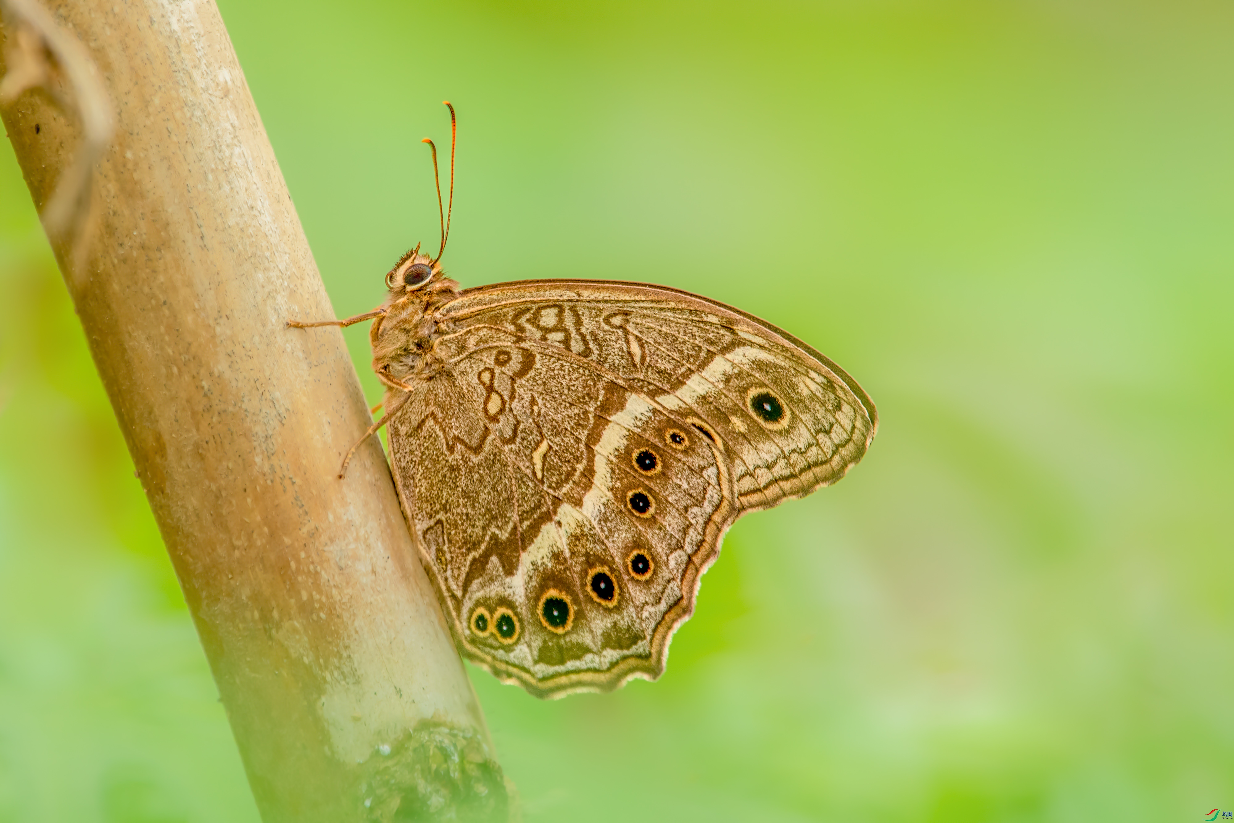 DSC_9279x_1.jpg