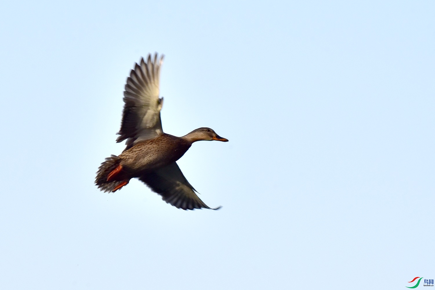 DSC_7635.JPG
