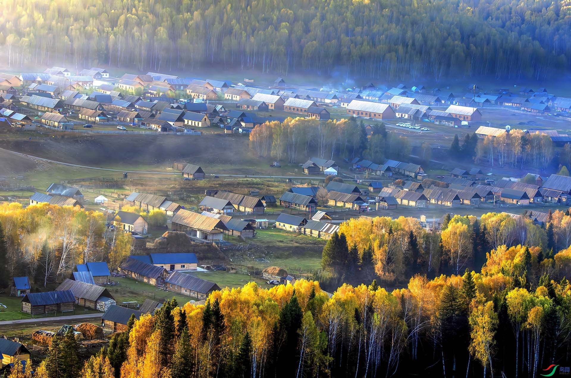 _DSC9251-NEF_DxO_DeepPRIME - ��ľ��.jpg