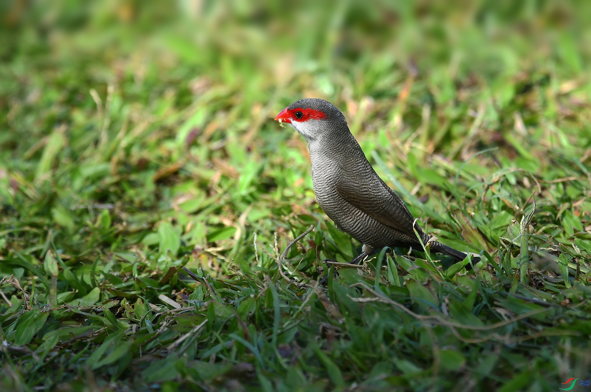 DSC_8590_.jpg