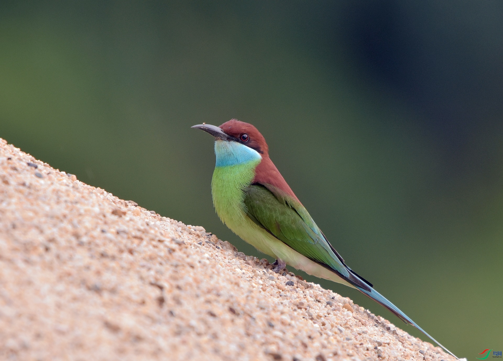 D72_5619.jpg