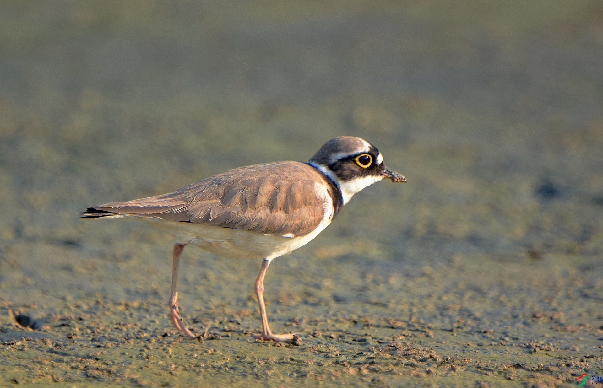 D72_5407.jpg