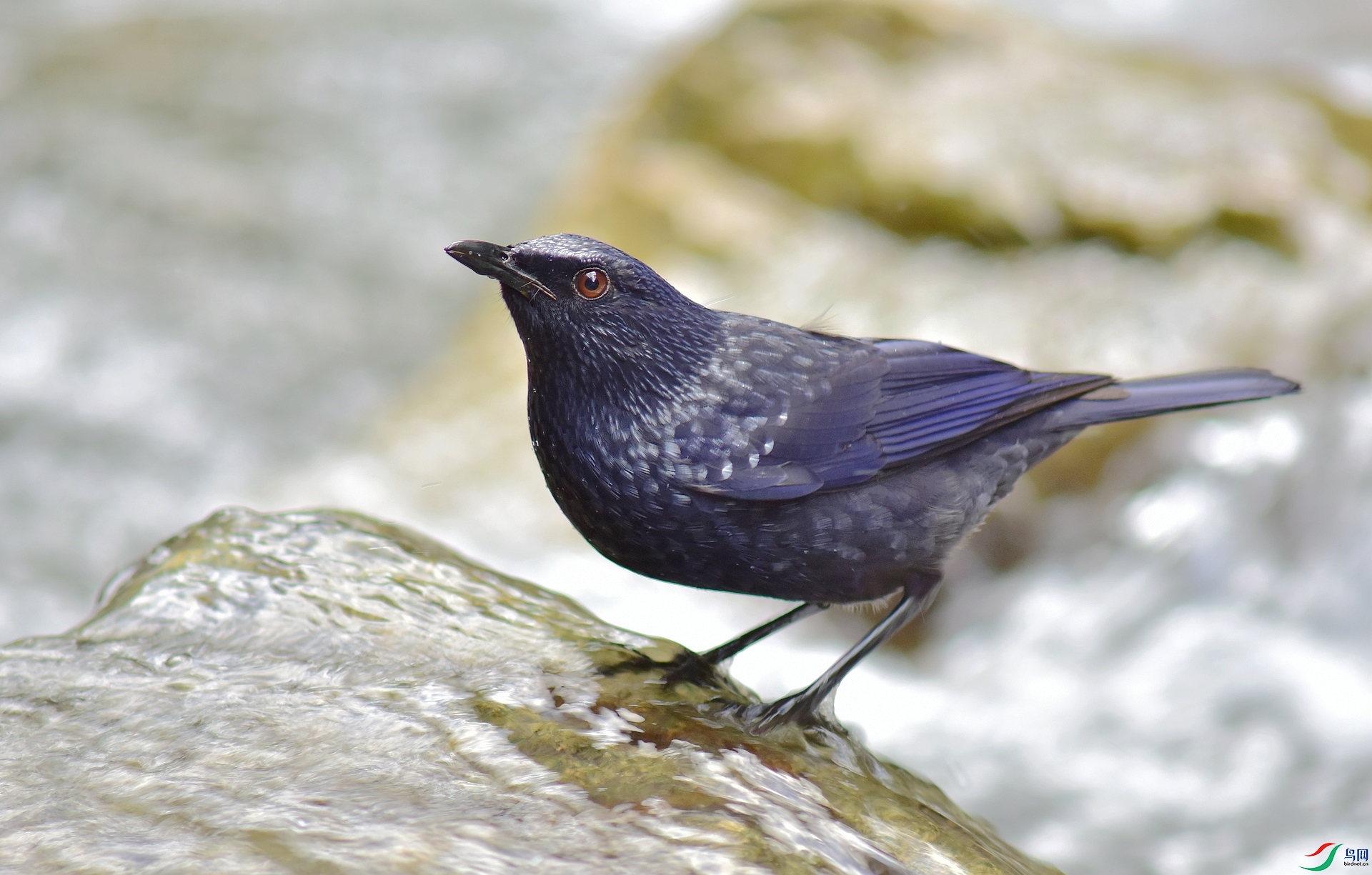 D8I_5828.jpg