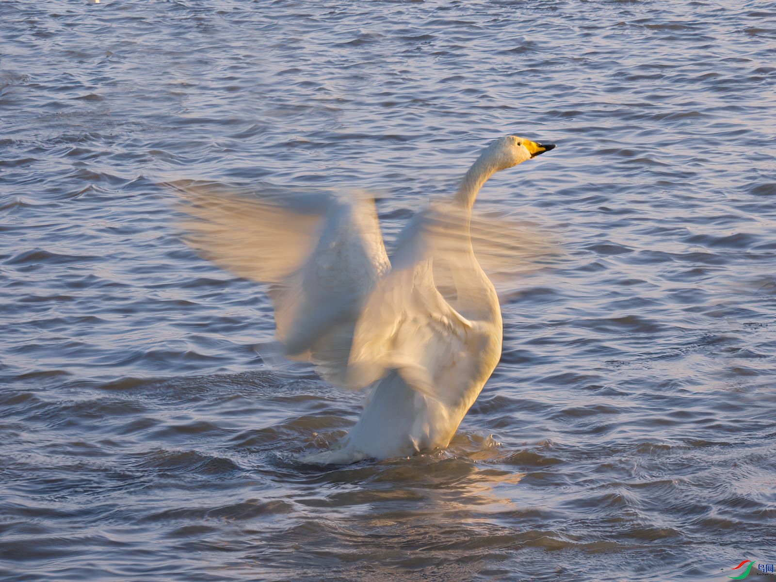 ���ְ�˹OM-1 150-400 f4.5 TC1.25x IS PRO