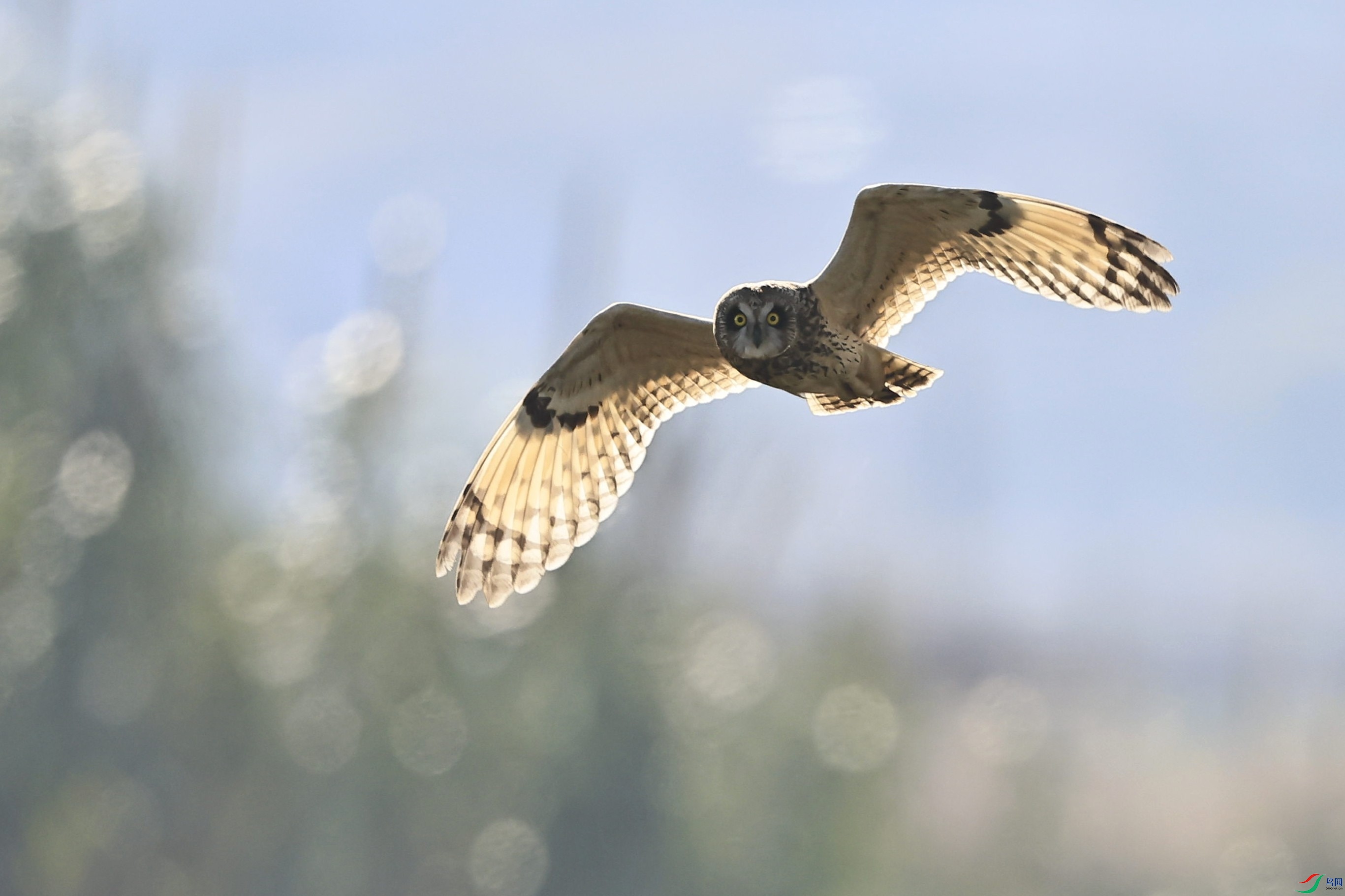 �̶��^ 9  _98A5727.jpg