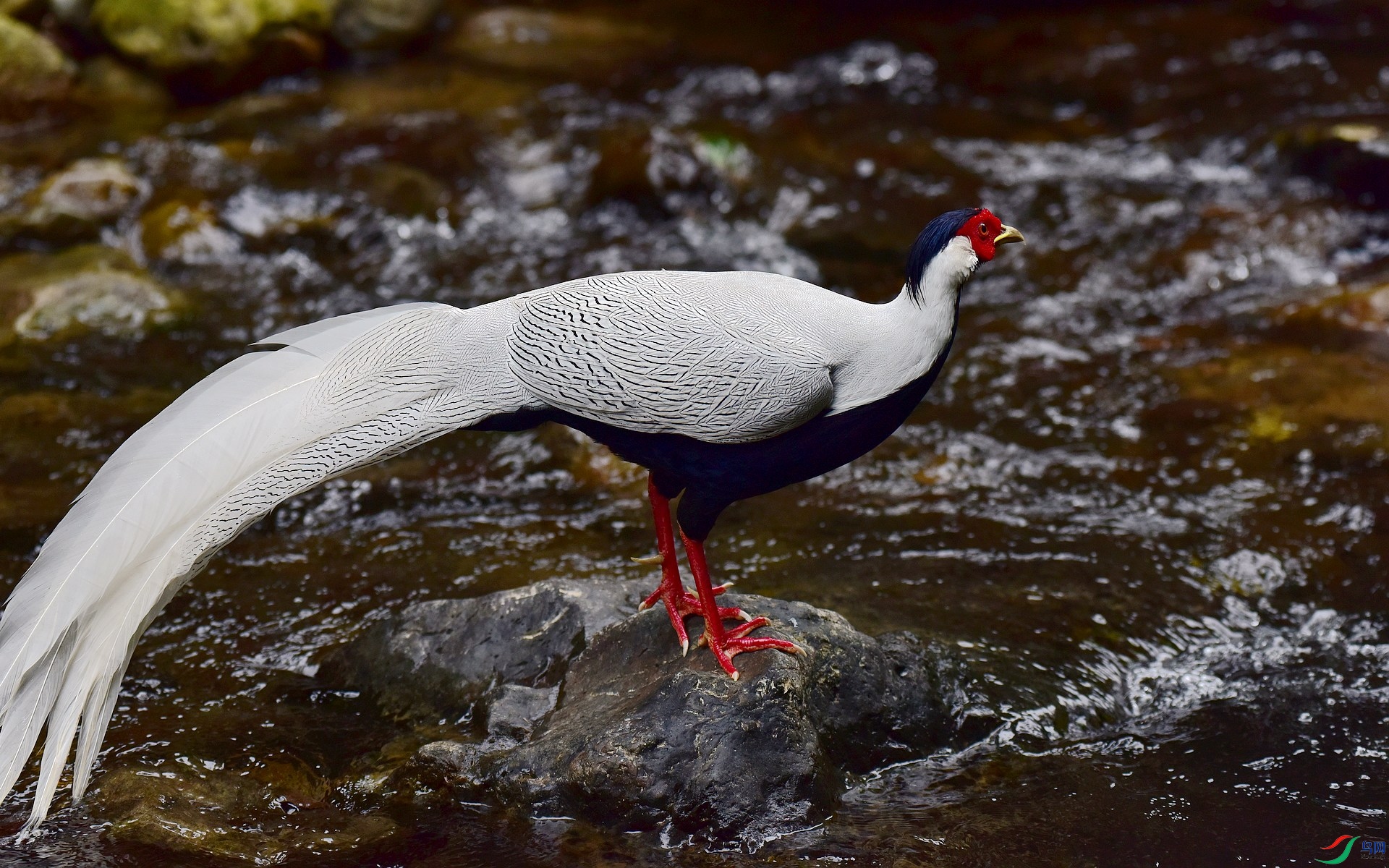 D8I_8760.jpg