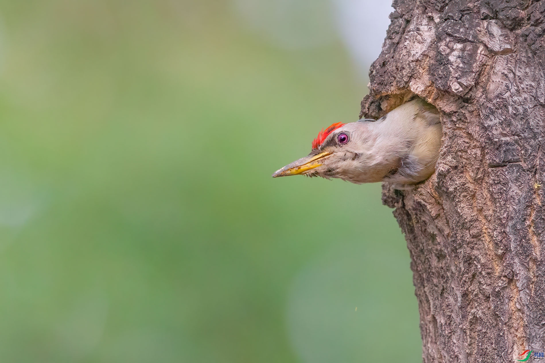 AQ4P0301-1.jpg