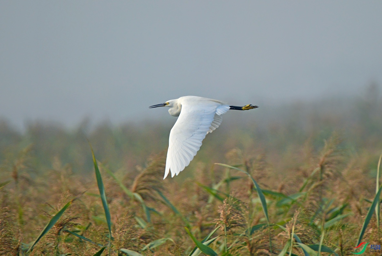 DSC_0041.jpg