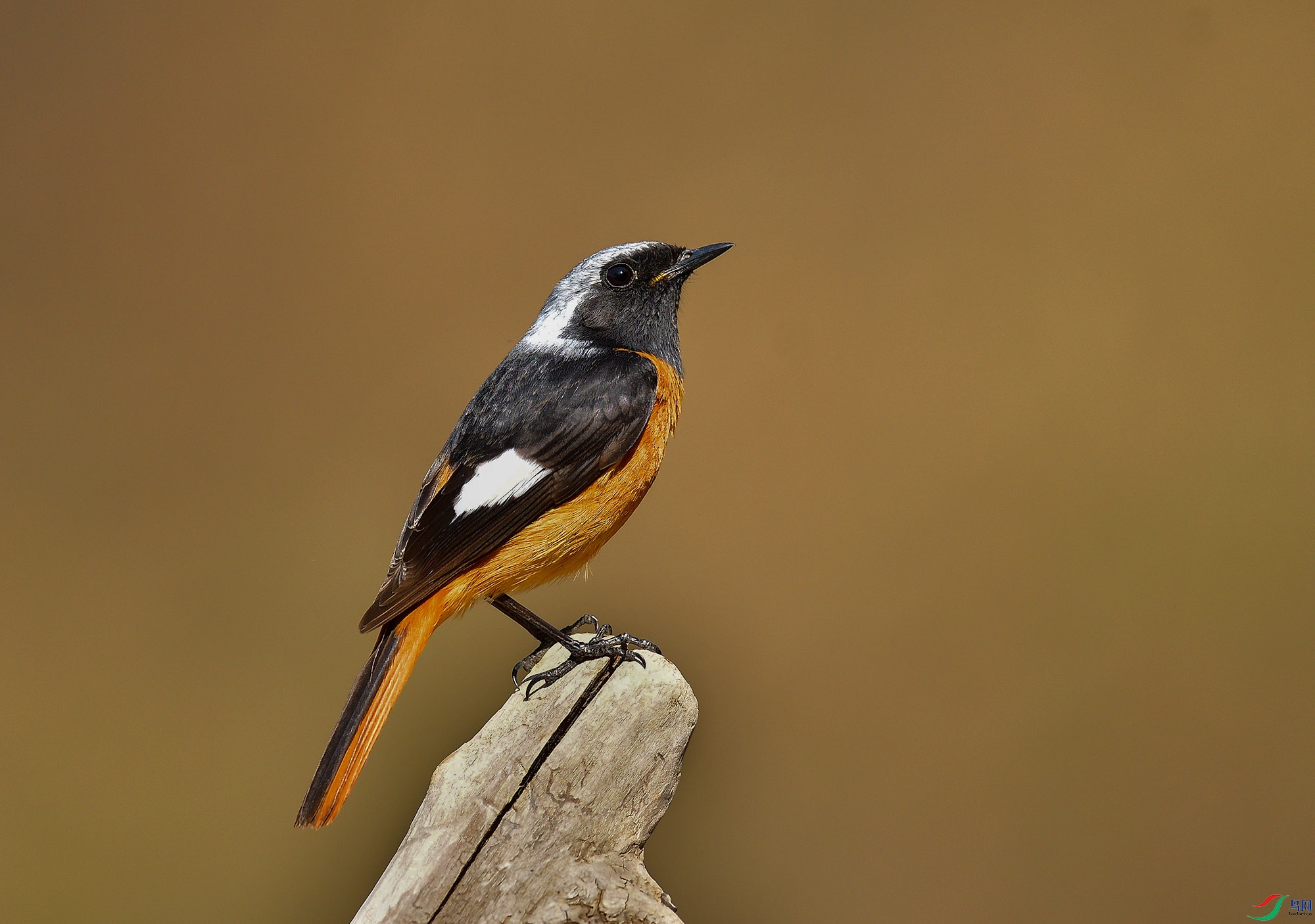 DSC_1500.jpg