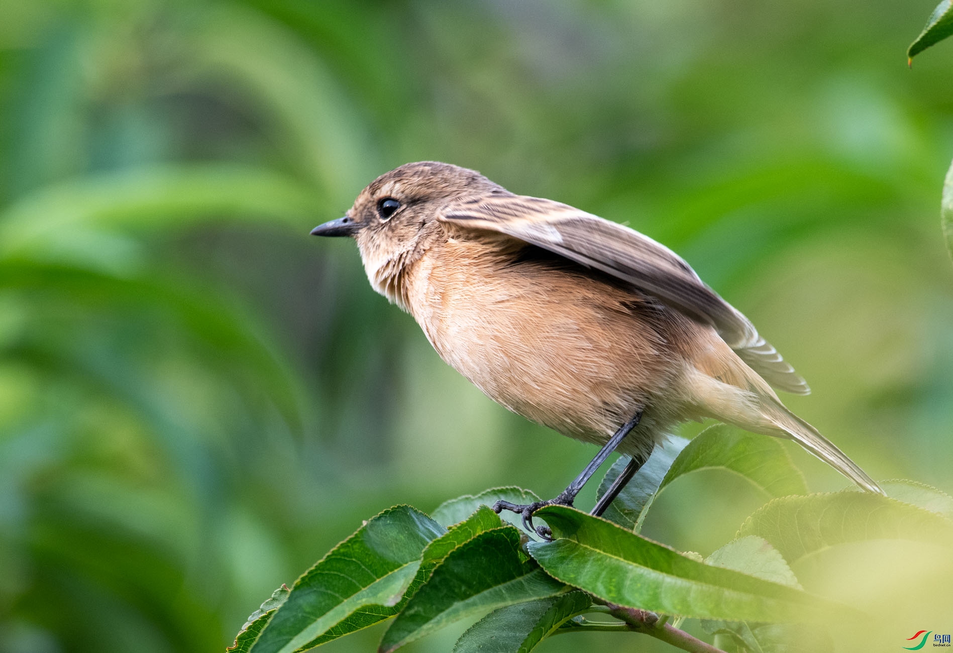 DSC_5598.jpg