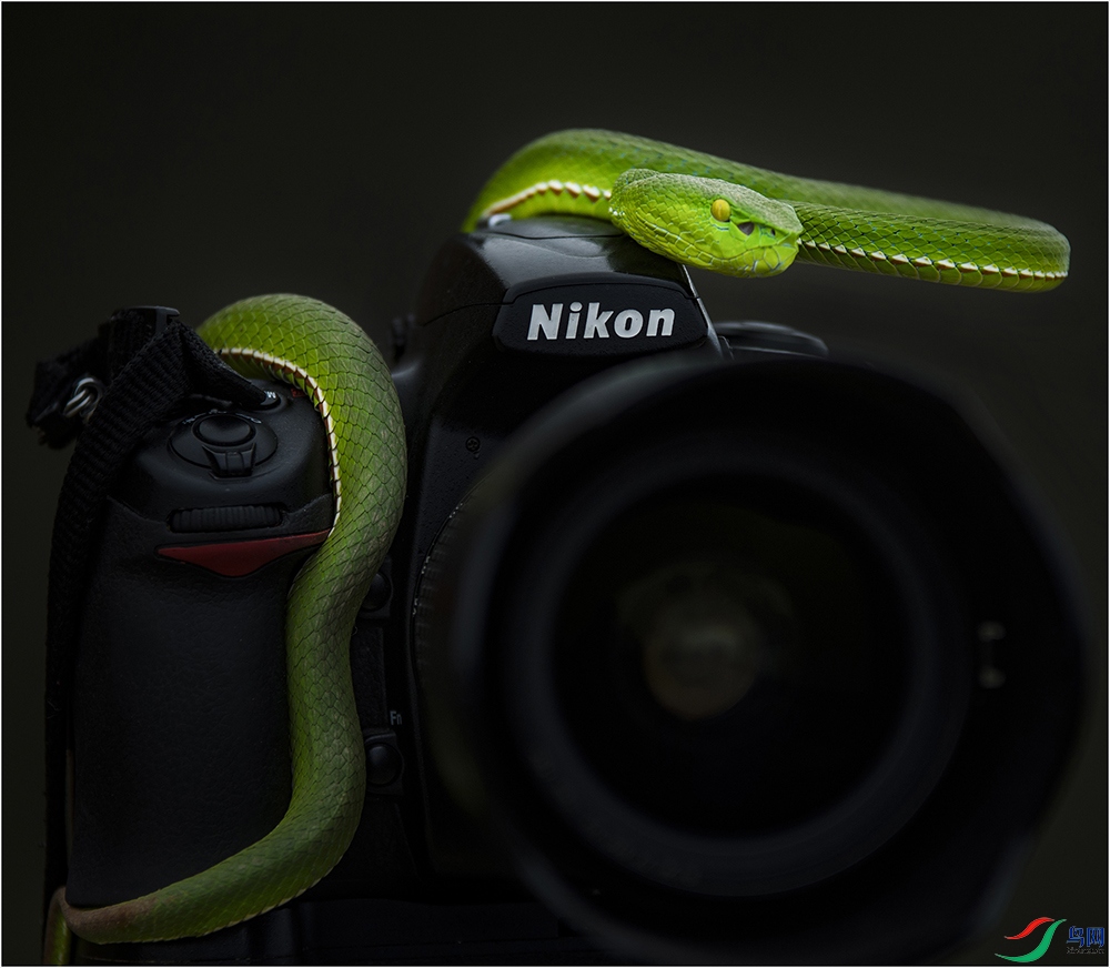 ����������������13824623223��D7100 80-200mm.jpg