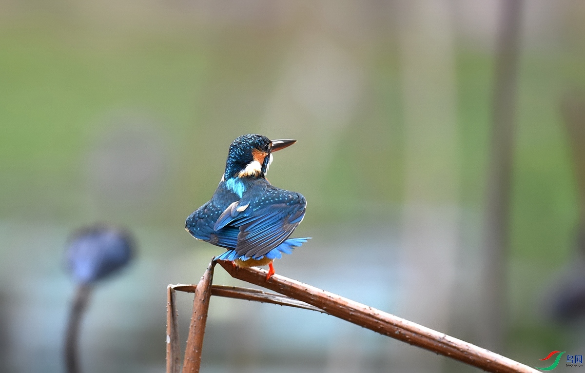 DSC_6889.jpg