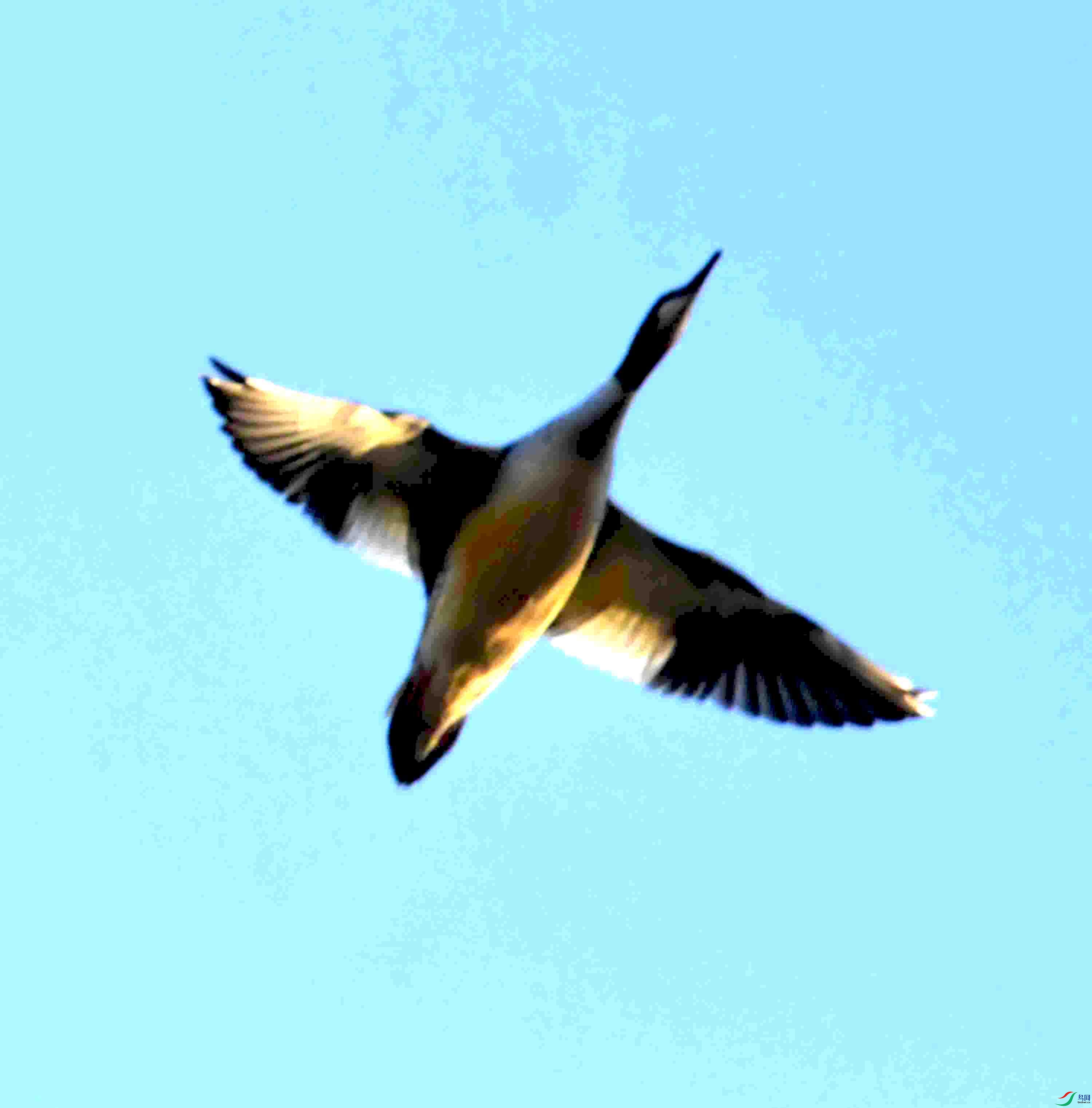DSC_9667.JPG