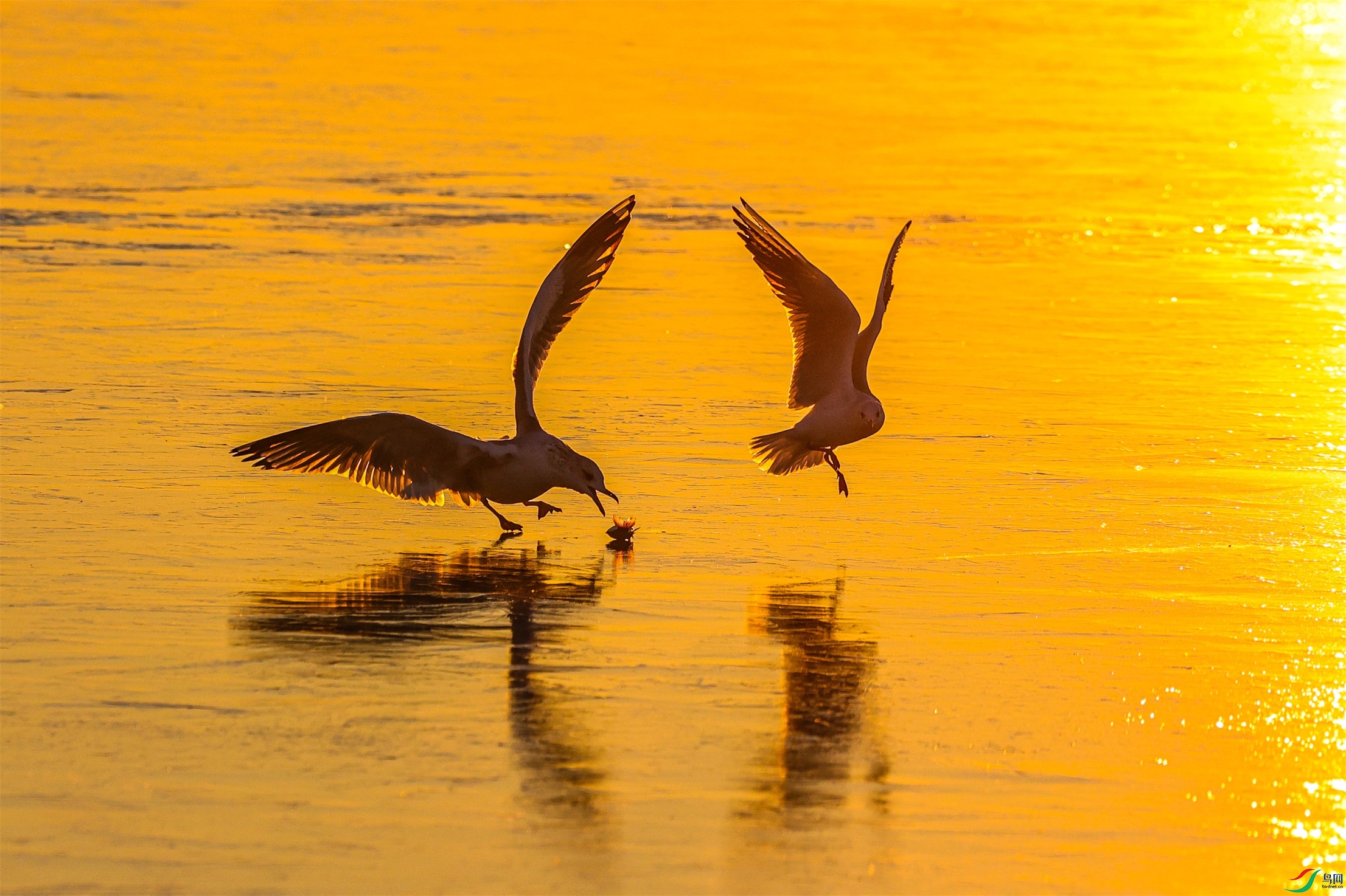 1K3A5028 ����1.jpg