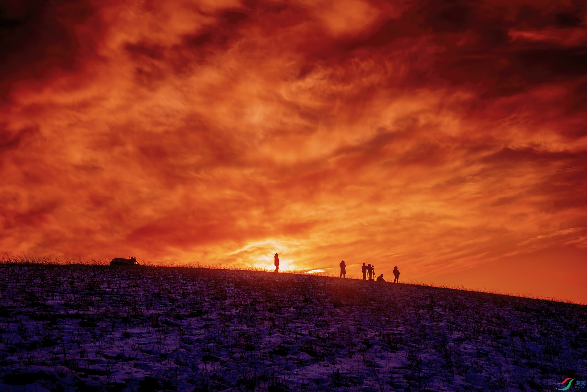 _DSC4111-NEF_DxO_DeepPRIME  -  Ϧϼ��.jpg