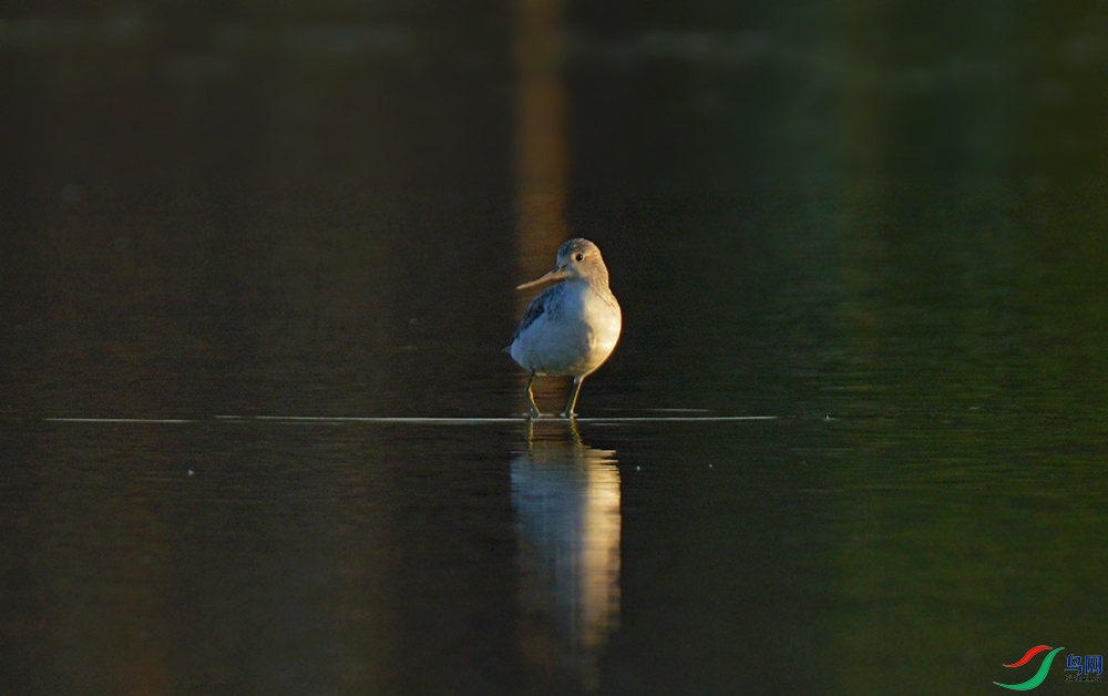 DSC_0099.jpg