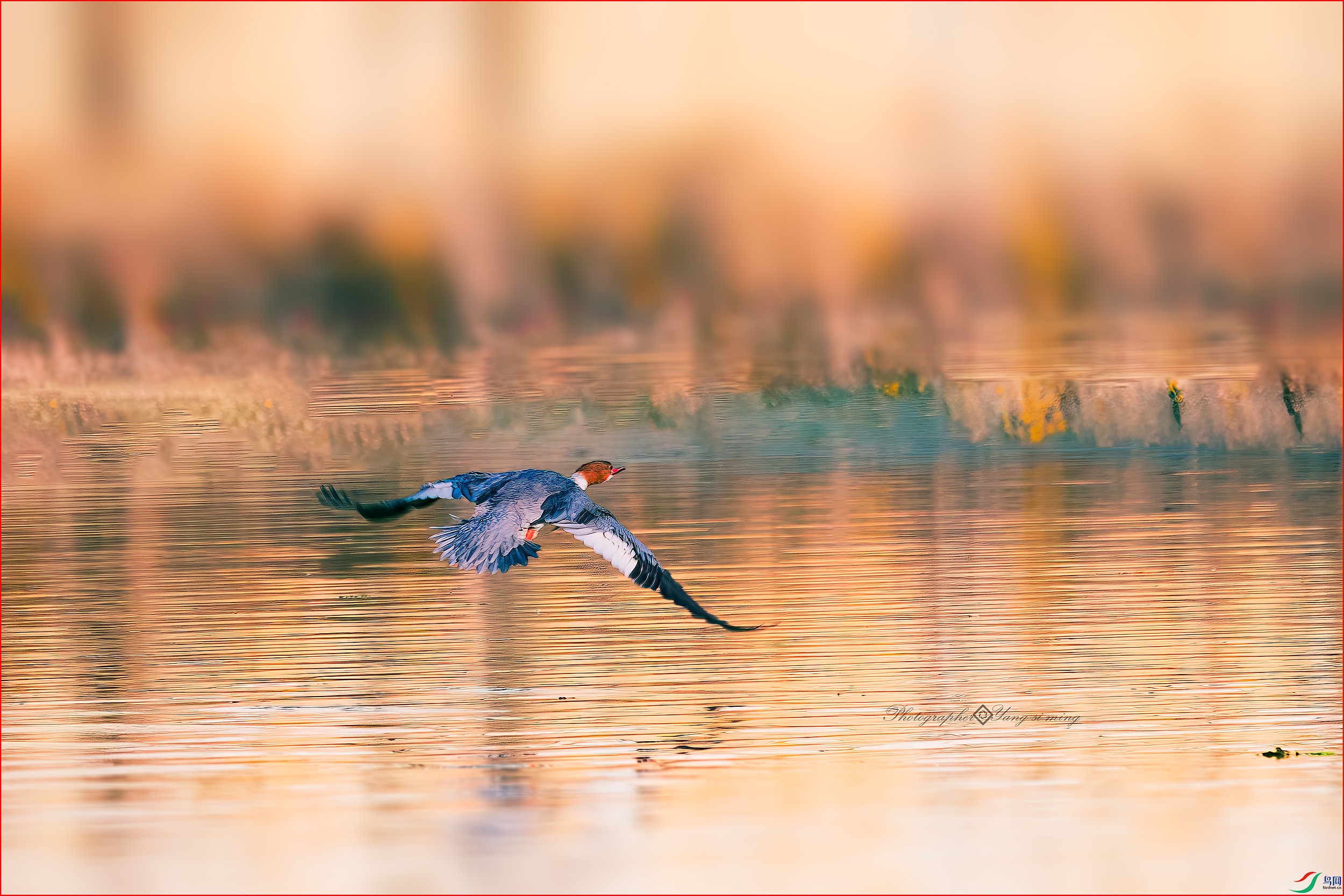 YSM08128-1-����.jpg