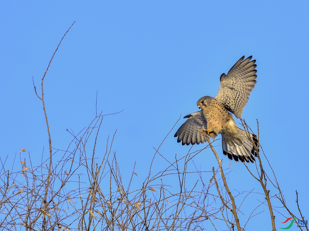 DSC_5509.jpg