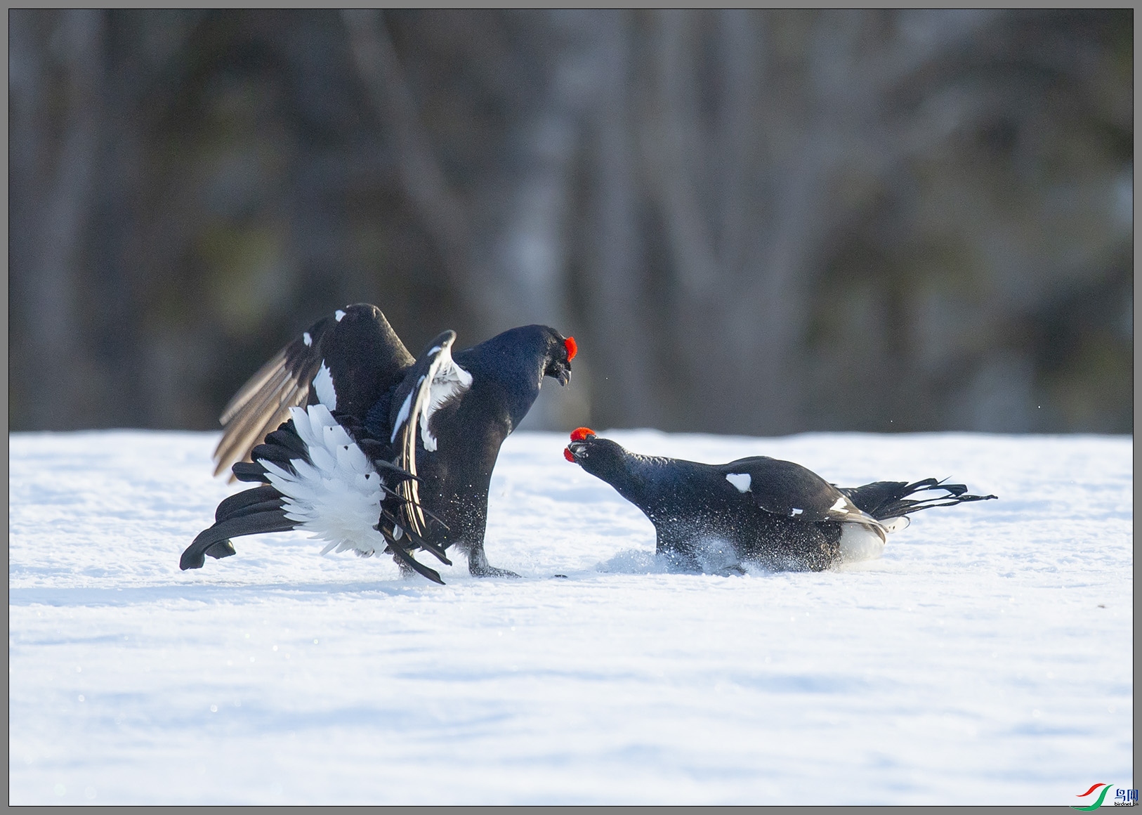 ��DSC_3601 (2).jpg