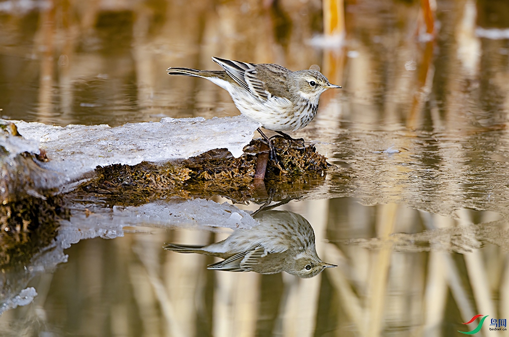 _FSC4903 - ����.jpg