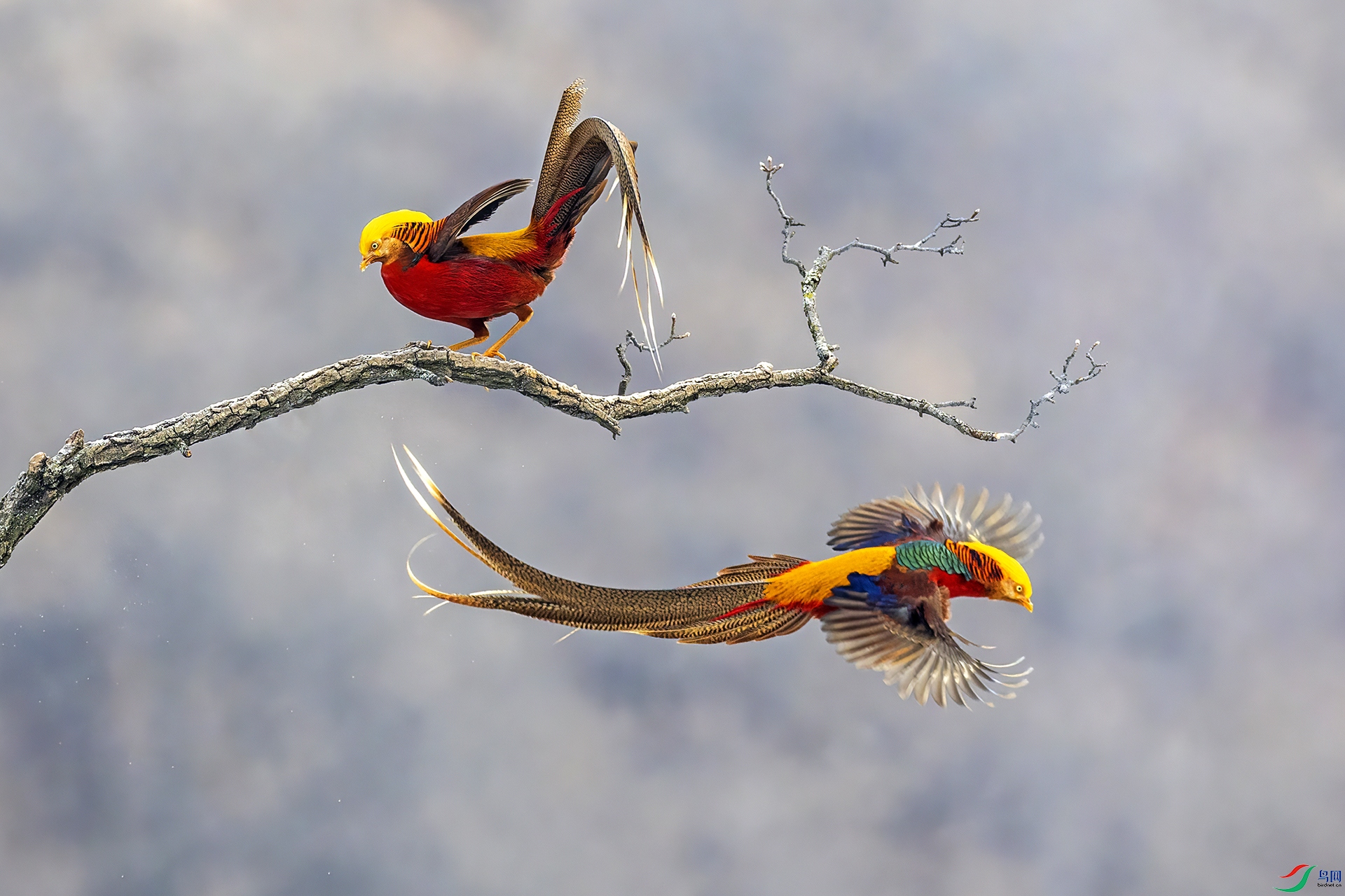 ��ɽ�츹����120-1.jpg