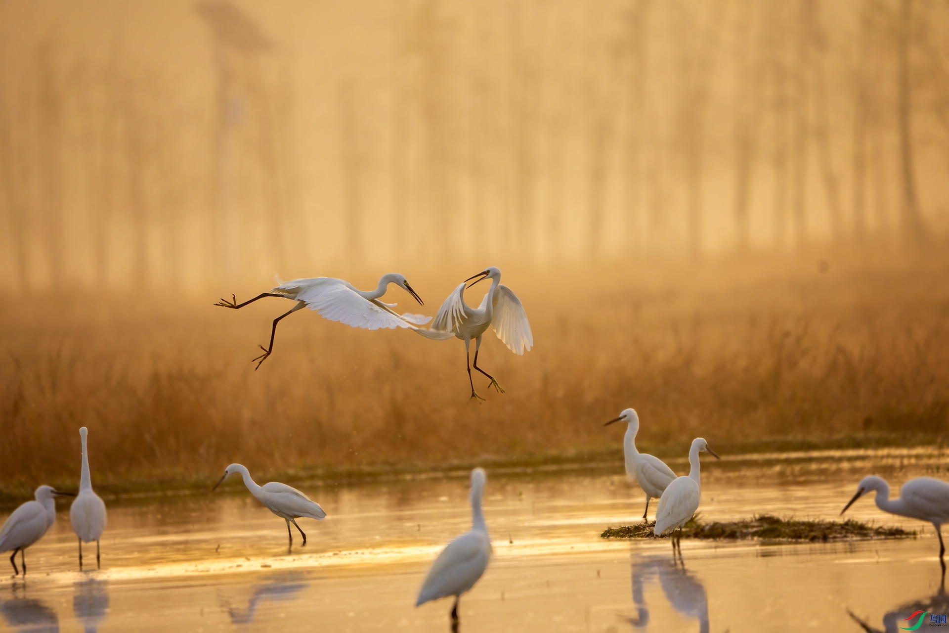 DSC04523 ����.jpg