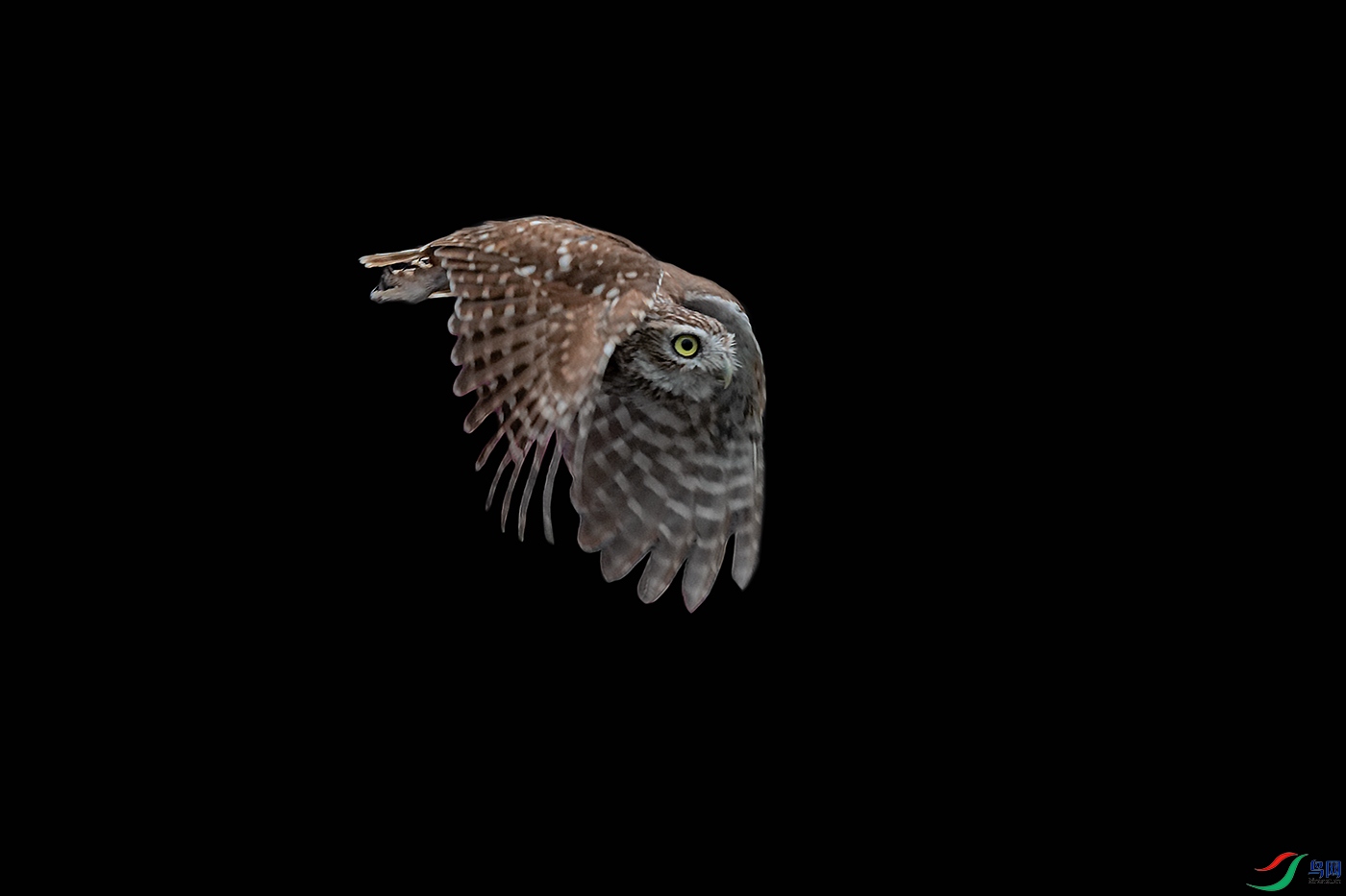 DSC_7491_DxOa.jpg
