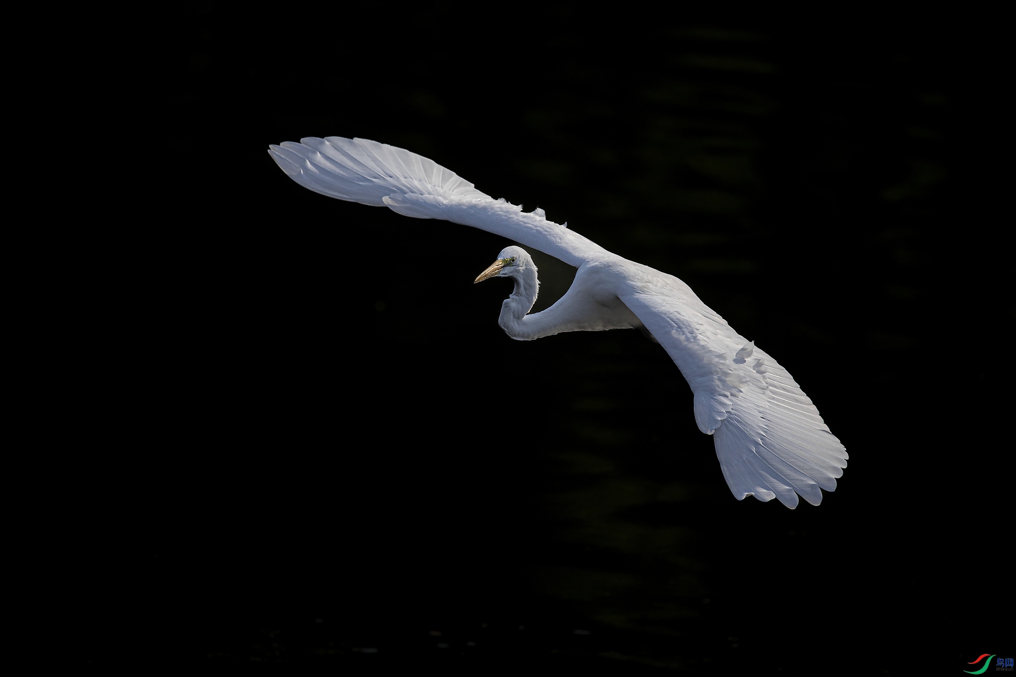 CU9A6830_HZP.jpg