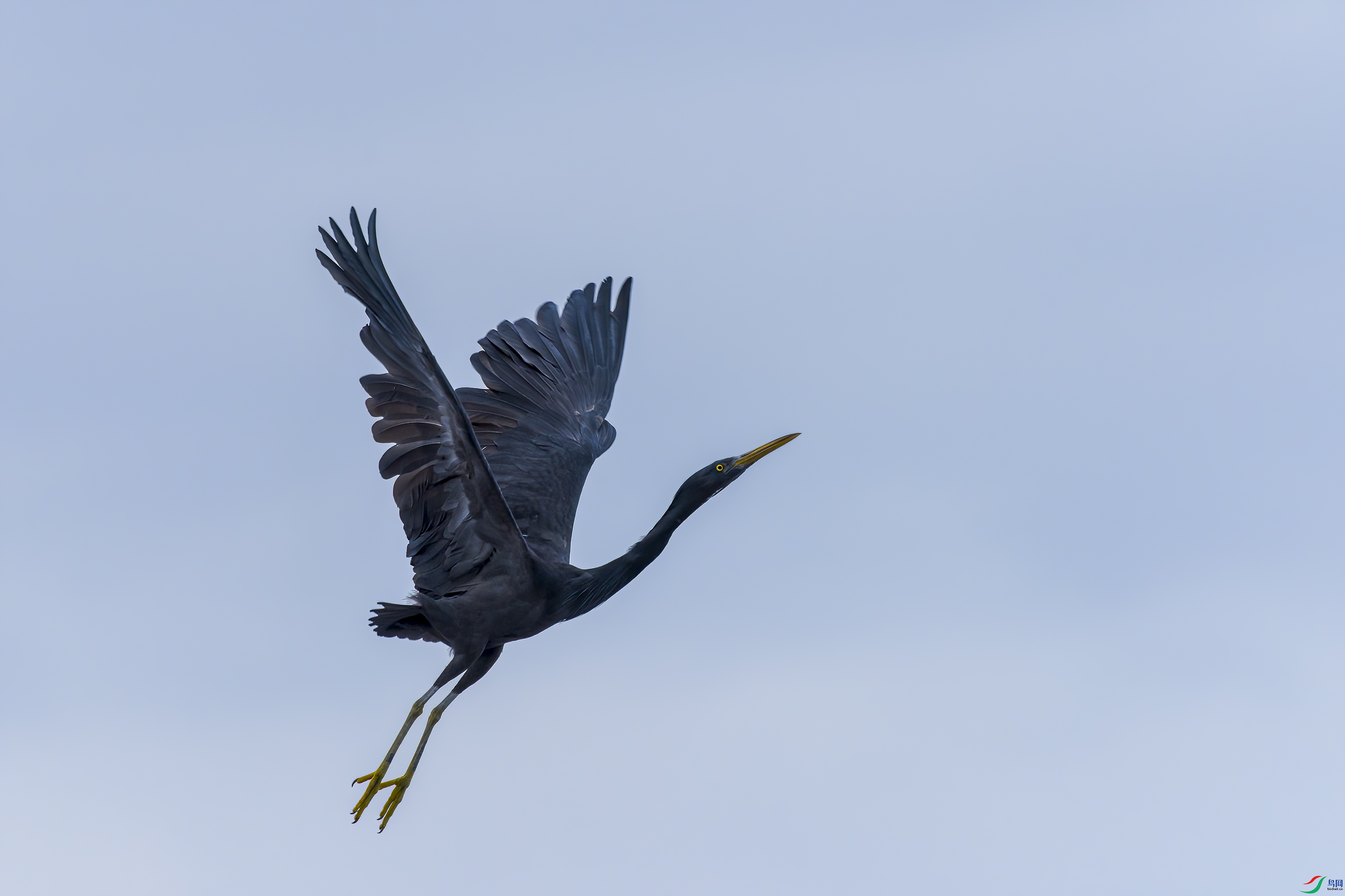 DSC_8125px.jpg