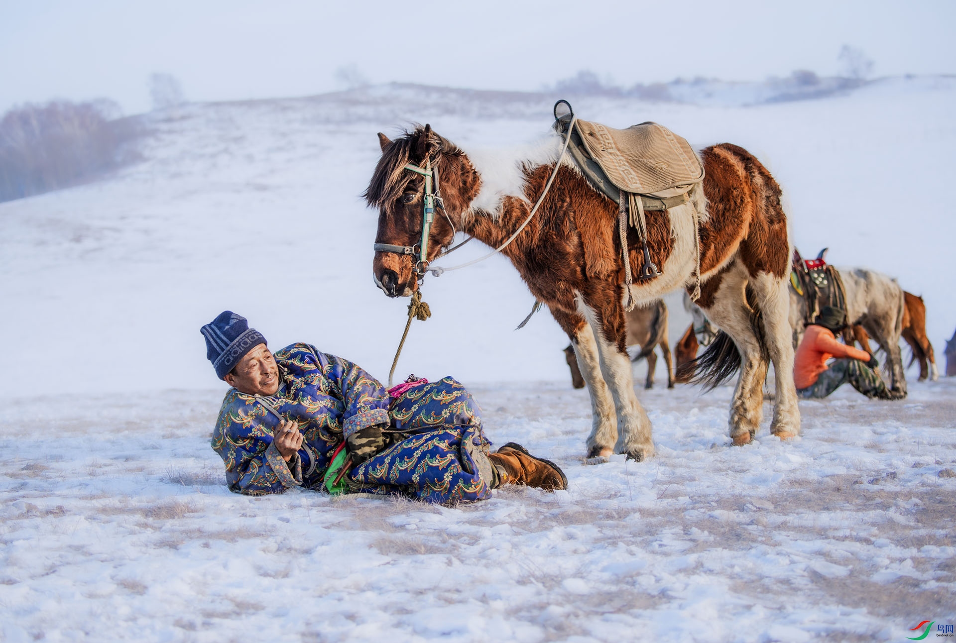 _DSC4802 - С��.jpg