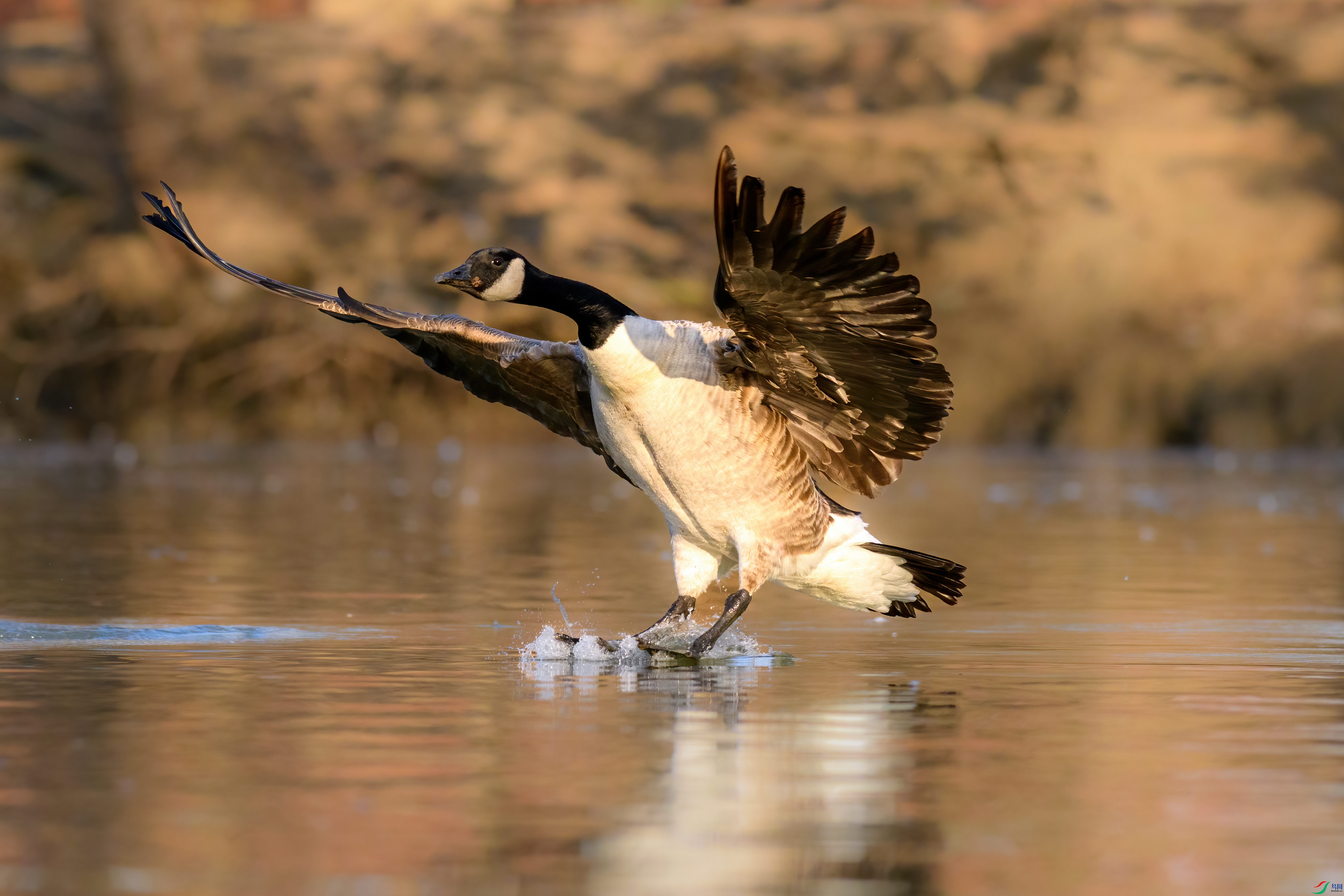 ����ˮ��ĺ���