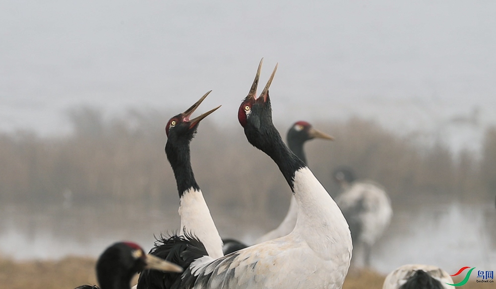 ����2022-12-08 ����3.08.31-9.jpg