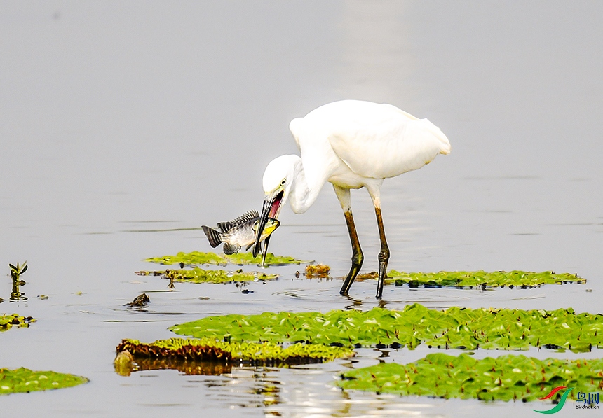 Picture 354674071.jpg