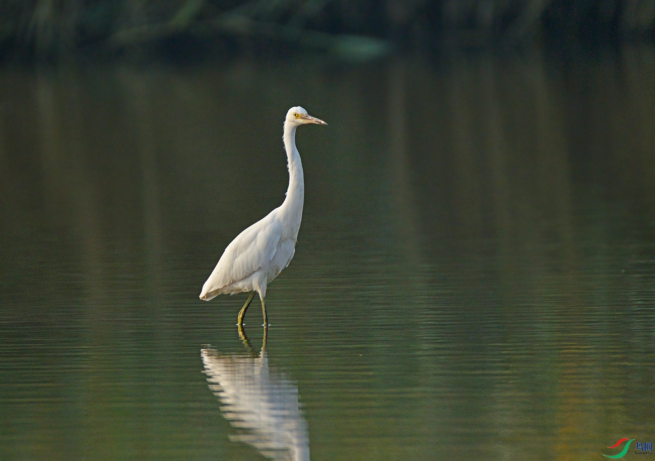 DSC_0304.jpg