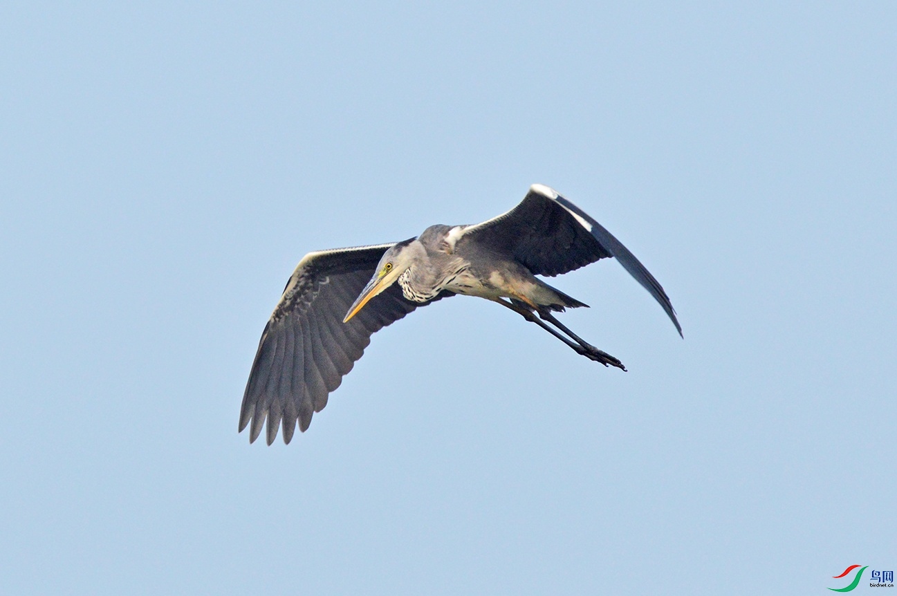 DSC_0312.jpg
