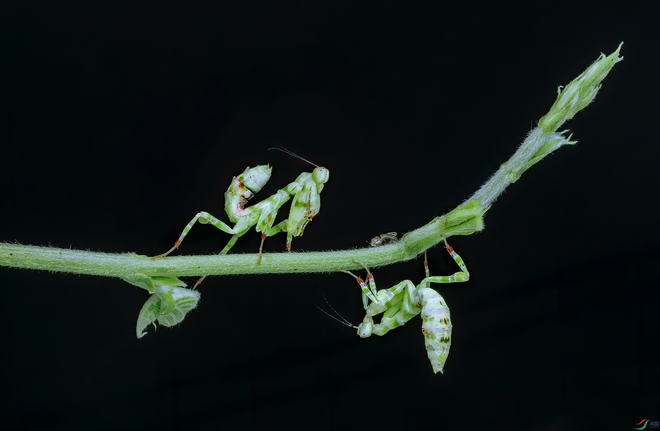 P8070015a.jpg