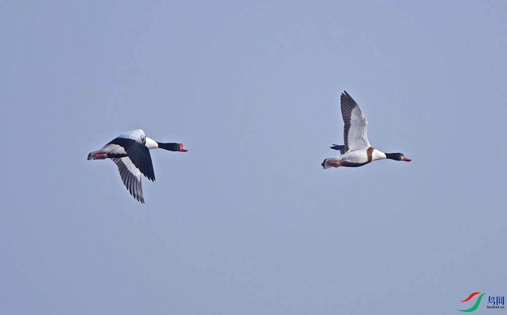 DSC_1547.jpg
