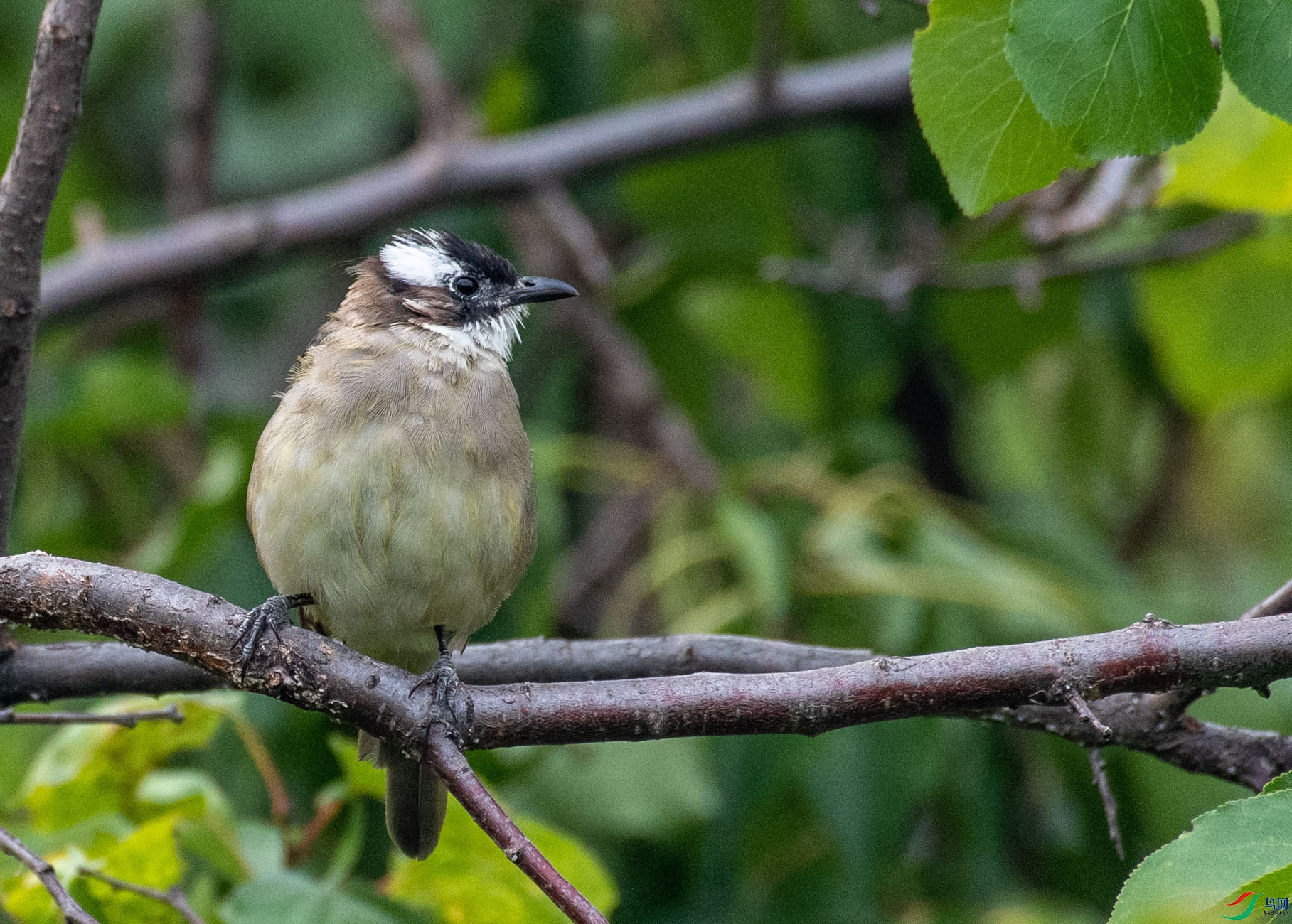 DSC_5583.jpg