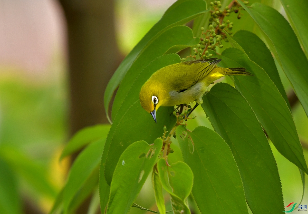DSC_0049.JPG