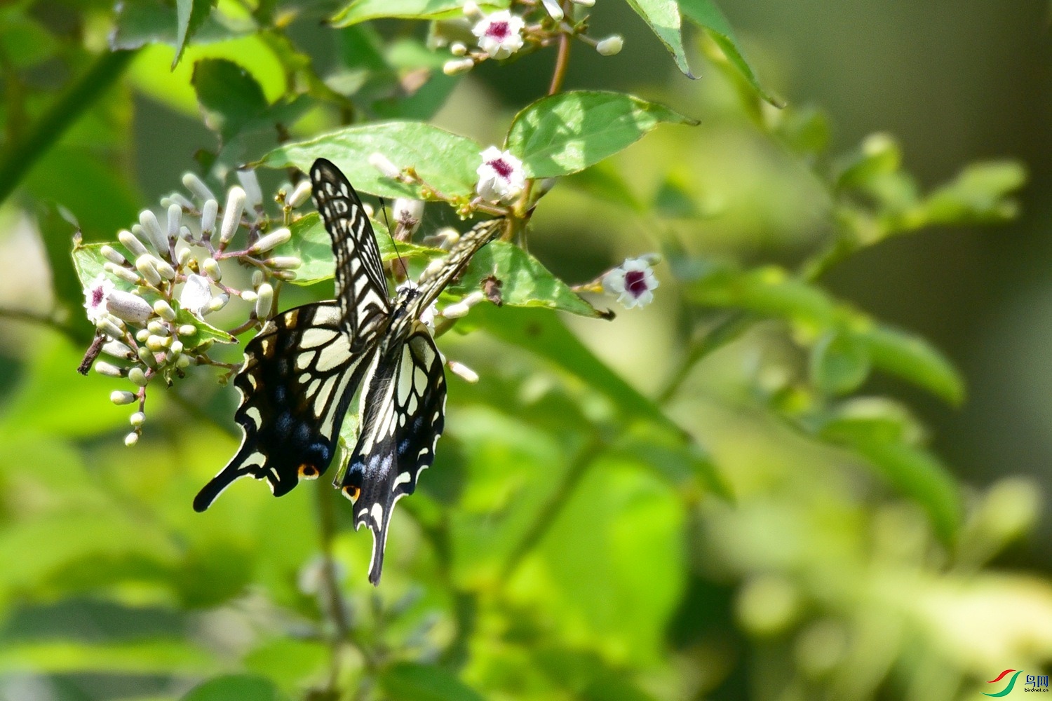 DSC_9030.JPG