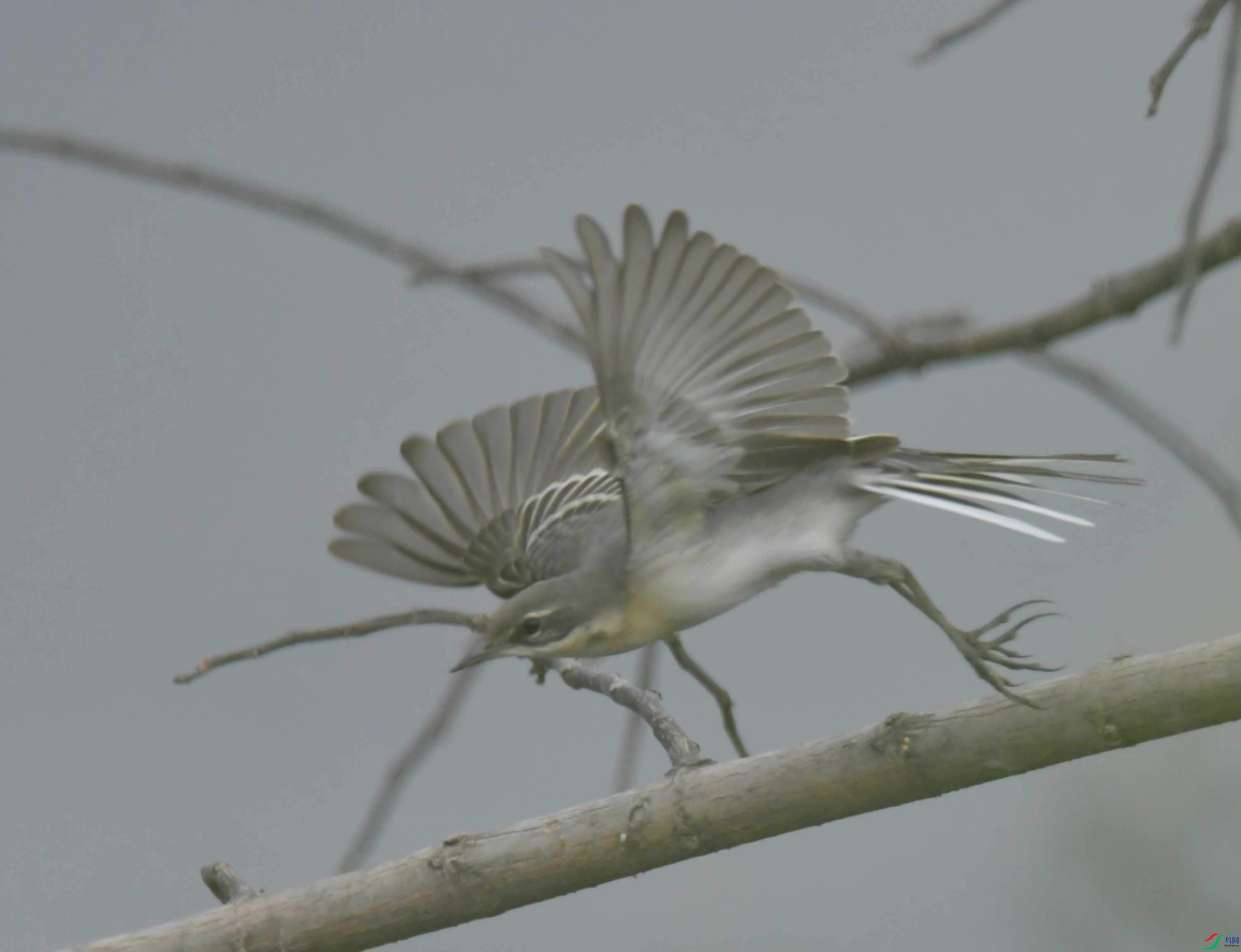 DSC_9645.JPG