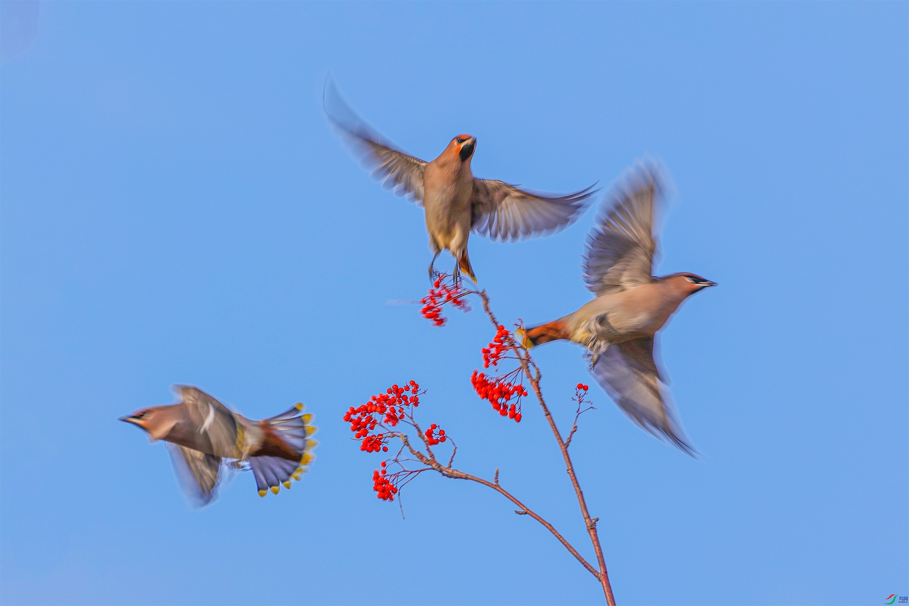 1K3A0734 ����1.jpg