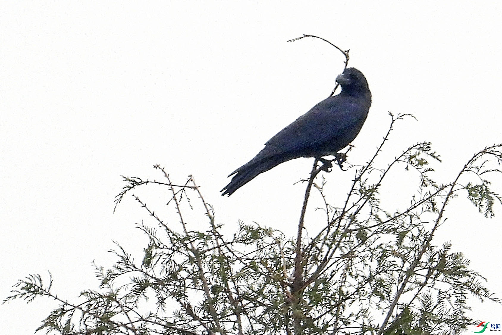 DSCN1102.JPG