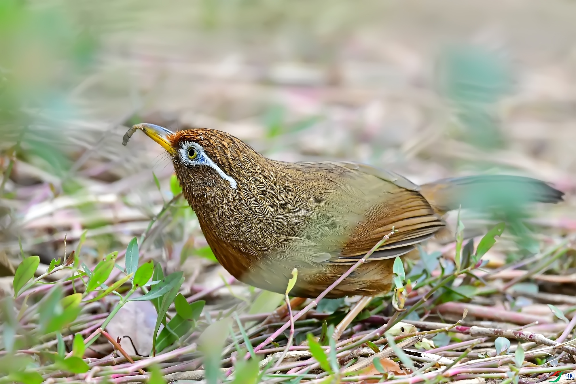 DSC_5380.jpg