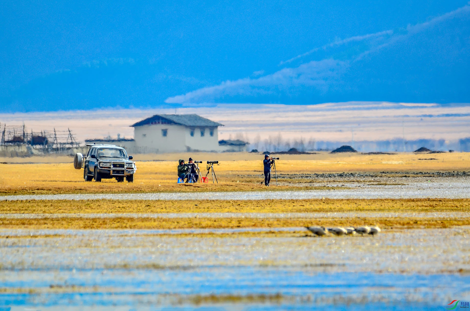DSC_6982.jpg
